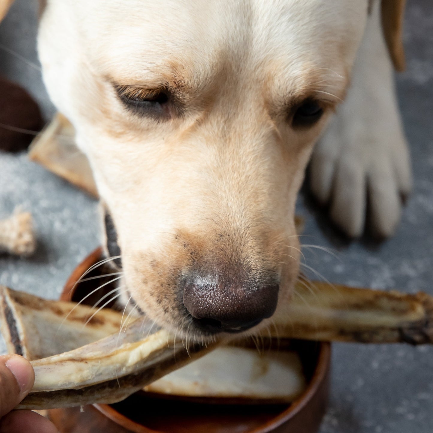 Bonanza Bone Bites