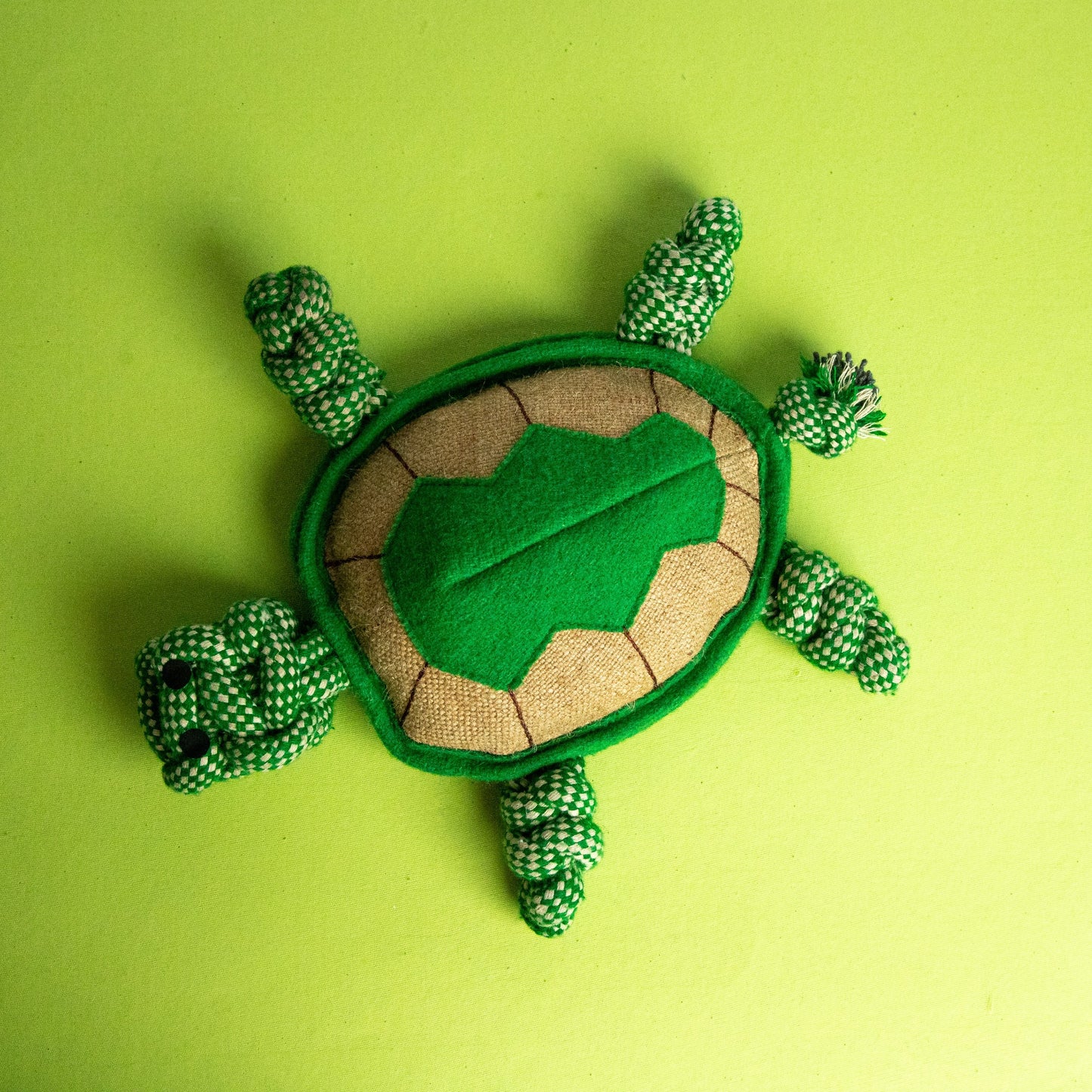 Tony the Turtle