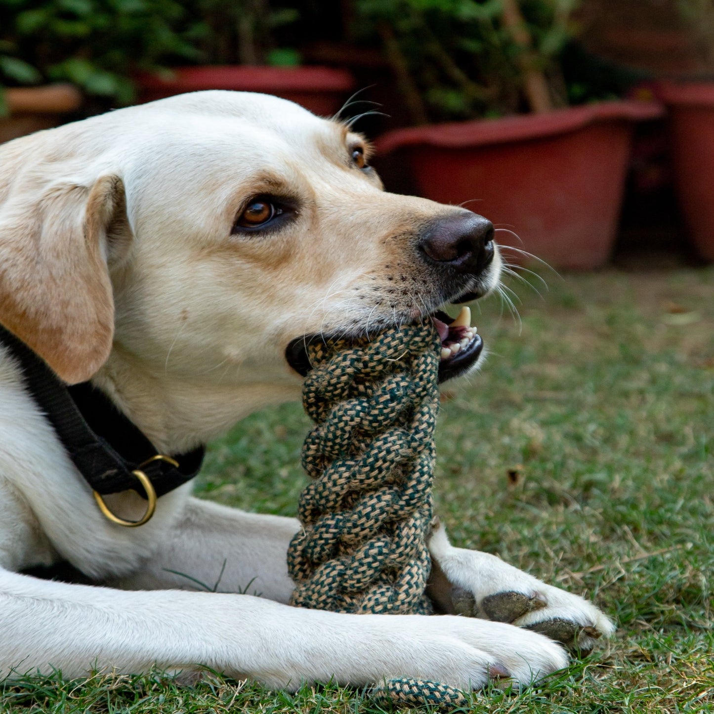 Rope Dummy Toy Green & Jute